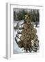 Hauling Logs with a Horse-Drawn Sledge in Northern Wisconsin, 1880s-null-Framed Giclee Print