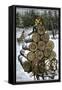 Hauling Logs with a Horse-Drawn Sledge in Northern Wisconsin, 1880s-null-Framed Stretched Canvas