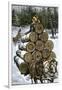 Hauling Logs with a Horse-Drawn Sledge in Northern Wisconsin, 1880s-null-Framed Giclee Print