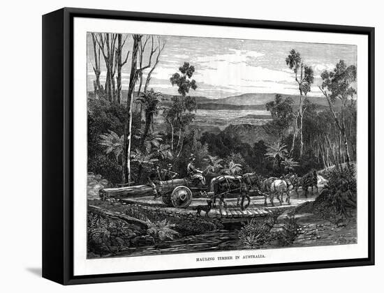 Hauling Timber, Australia, 1877-null-Framed Stretched Canvas