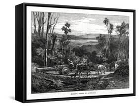 Hauling Timber, Australia, 1877-null-Framed Stretched Canvas