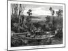 Hauling Timber, Australia, 1877-null-Mounted Giclee Print