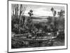 Hauling Timber, Australia, 1877-null-Mounted Giclee Print