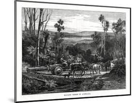 Hauling Timber, Australia, 1877-null-Mounted Giclee Print