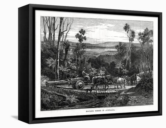 Hauling Timber, Australia, 1877-null-Framed Stretched Canvas