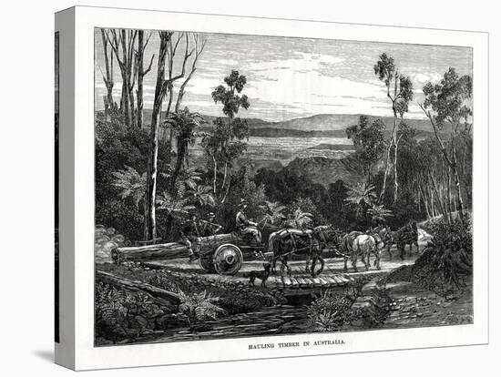 Hauling Timber, Australia, 1877-null-Stretched Canvas