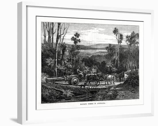 Hauling Timber, Australia, 1877-null-Framed Giclee Print