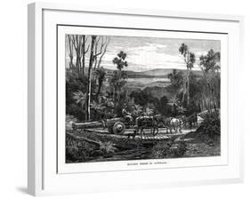 Hauling Timber, Australia, 1877-null-Framed Giclee Print