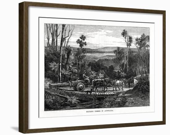 Hauling Timber, Australia, 1877-null-Framed Giclee Print