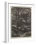 Haunt of the Fallow Deer-John Samuel Raven-Framed Giclee Print