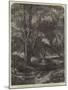 Haunt of the Fallow Deer-John Samuel Raven-Mounted Giclee Print