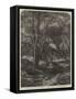 Haunt of the Fallow Deer-John Samuel Raven-Framed Stretched Canvas