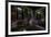 Haunted Interior-Nathan Wright-Framed Photographic Print