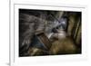 Haunted Interior-Nathan Wright-Framed Photographic Print