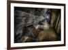 Haunted Interior-Nathan Wright-Framed Photographic Print