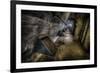 Haunted Interior-Nathan Wright-Framed Photographic Print