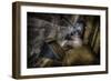 Haunted Interior-Nathan Wright-Framed Photographic Print