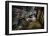 Haunted Interior-Nathan Wright-Framed Photographic Print