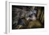 Haunted Interior-Nathan Wright-Framed Photographic Print