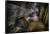 Haunted Interior-Nathan Wright-Framed Stretched Canvas