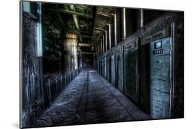 Haunted Interior-Nathan Wright-Mounted Premium Photographic Print