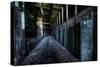 Haunted Interior-Nathan Wright-Stretched Canvas