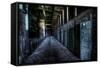 Haunted Interior-Nathan Wright-Framed Stretched Canvas