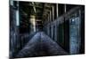 Haunted Interior-Nathan Wright-Mounted Photographic Print