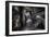 Haunted Interior-Nathan Wright-Framed Photographic Print