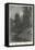 Haunted-Charles Auguste Loye-Framed Stretched Canvas