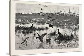 Haunts of Wild Ducks, 1882-null-Stretched Canvas