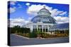 Haupt Conservatory, New York Botanical Gardens, Bronx, New York-Sabine Jacobs-Stretched Canvas