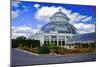 Haupt Conservatory, New York Botanical Gardens, Bronx, New York-Sabine Jacobs-Mounted Photographic Print