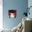 Haute Chapeau Rouge I-Marco Fabiano-Premium Giclee Print displayed on a wall