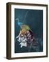 Haute Couture 10b-Design Fabrikken-Framed Photographic Print