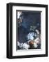 Haute Couture 4-Design Fabrikken-Framed Art Print