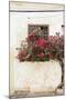Havana Blooms-Irene Suchocki-Mounted Giclee Print
