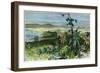 Havana, Cuba, C1880-null-Framed Giclee Print