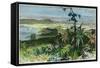 Havana, Cuba, C1880-null-Framed Stretched Canvas