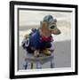 Havana, Cuba. Dog dressed-up-Marilyn Parver-Framed Photographic Print