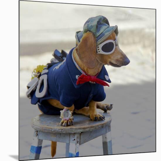 Havana, Cuba. Dog dressed-up-Marilyn Parver-Mounted Photographic Print