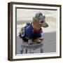 Havana, Cuba. Dog dressed-up-Marilyn Parver-Framed Photographic Print