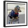 Havana, Cuba. Dog dressed-up-Marilyn Parver-Framed Photographic Print