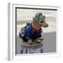 Havana, Cuba. Dog dressed-up-Marilyn Parver-Framed Photographic Print