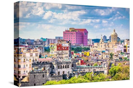Stretched Canvas Print, , large