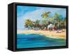 Havana Nights-Jane Slivka-Framed Stretched Canvas