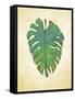 Havana Palm 1-J Charles-Framed Stretched Canvas