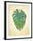 Havana Palm 1-J Charles-Framed Art Print