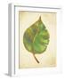 Havana Palm 3-J Charles-Framed Art Print