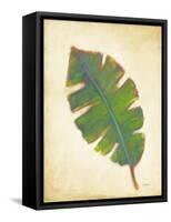 Havana Palm 4-J Charles-Framed Stretched Canvas